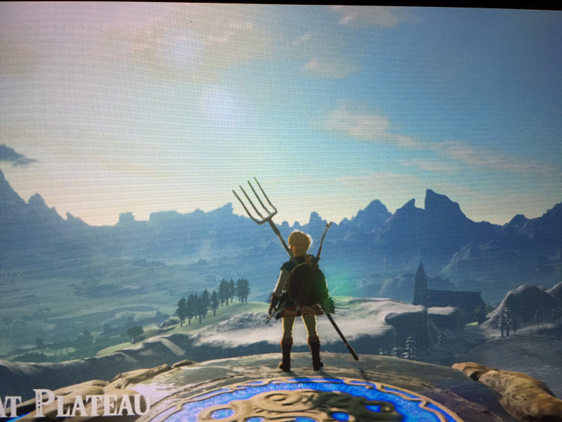 Illustration for article titled Here are Some of my Favorite Screenshots from The Legend of Zelda: Breath of the Wild